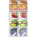 Marukawa 8 pack gum Front Packaging